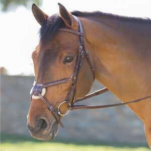 Brown Leather Horse Bridle
